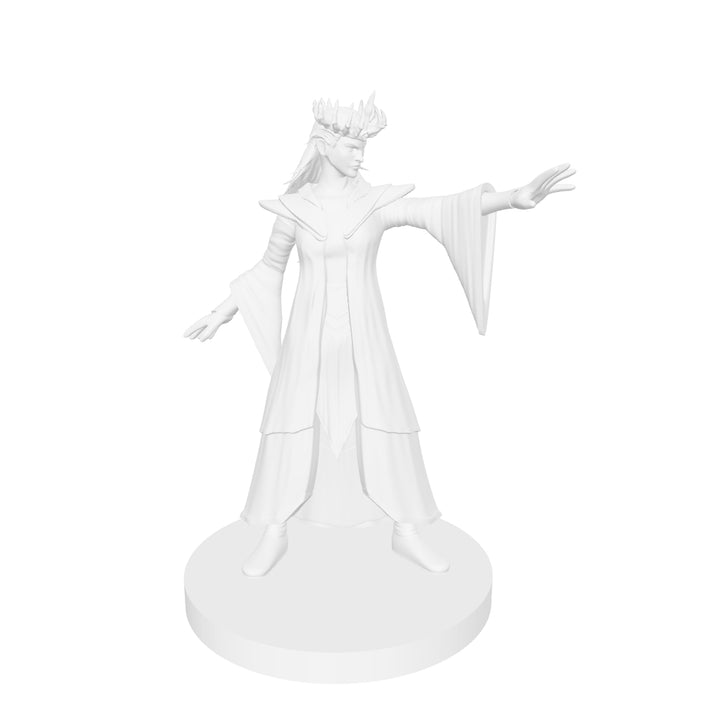 Iggwilv The Witch Queen / Tasha / Zybilna Miniature